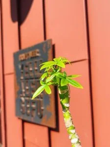 明日からシルバーウィークスタート🙌本日華金は最高のビール日和☀️快適な空間で楽しむクラフトビールは最高ですよ🍻/岐阜…